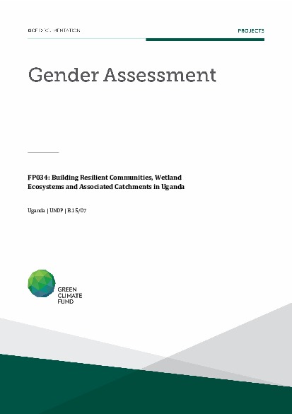 gender assessment